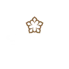 Side Star